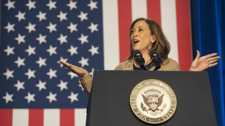 By talking about gun control, not gun bans, Kamala Harris wants to court a new electorate