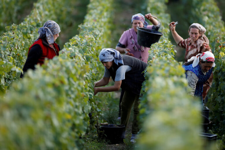 Climate change | Taittinger opens a winery in England