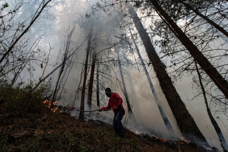 Colombia | More than 9,000 hectares burned by forest fires