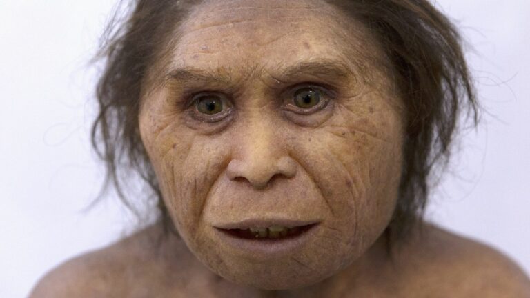 Did Neanderthals disappear because of their long social and genetic isolation?