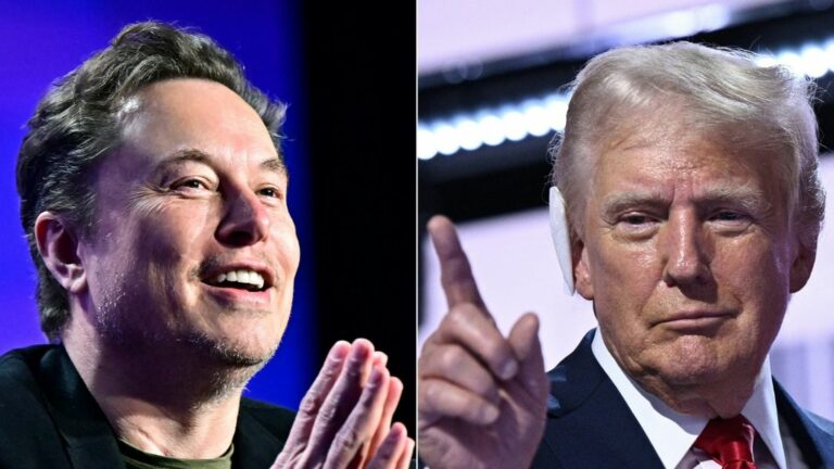 Donald Trump wants to charge Elon Musk with an “audit” of the government to “reform” it in depth