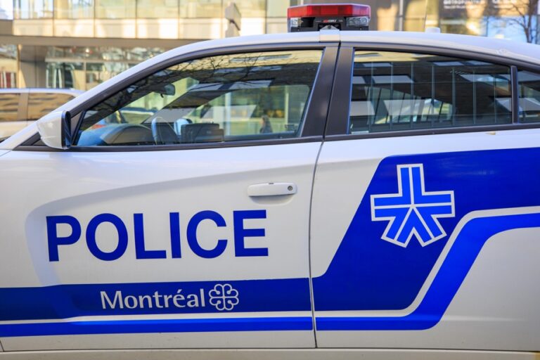 Double murder in the Saint-Michel district | Two young suspects accused of premeditated murder