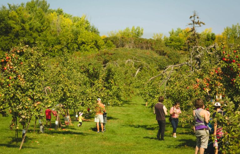 Ensuring the sustainability of our orchards