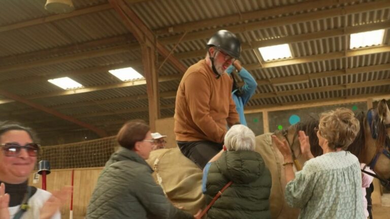 Equine therapy to relieve patients