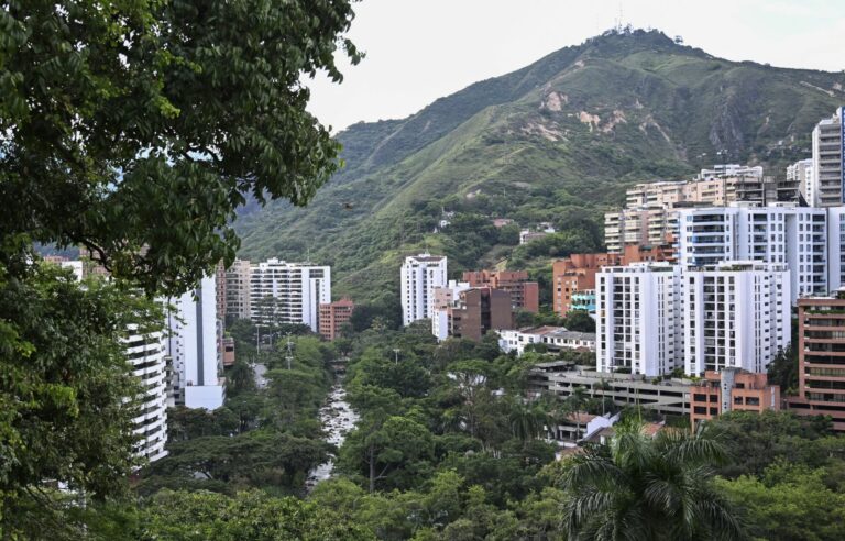 For its COP16 in Cali, Colombia wants to try to save the planet