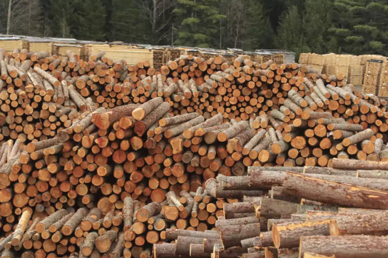 Forestry Industry | Unifor Director Calls on Quebec to Act in the Face of “Unprecedented Crisis”