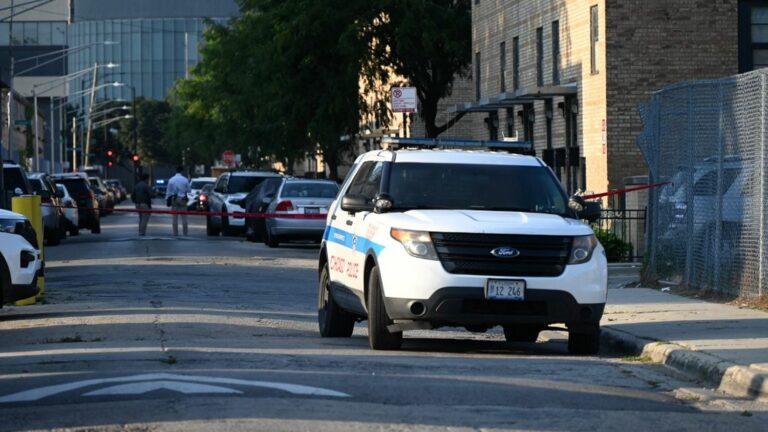 Four passengers shot dead on Chicago commuter train, suspect arrested