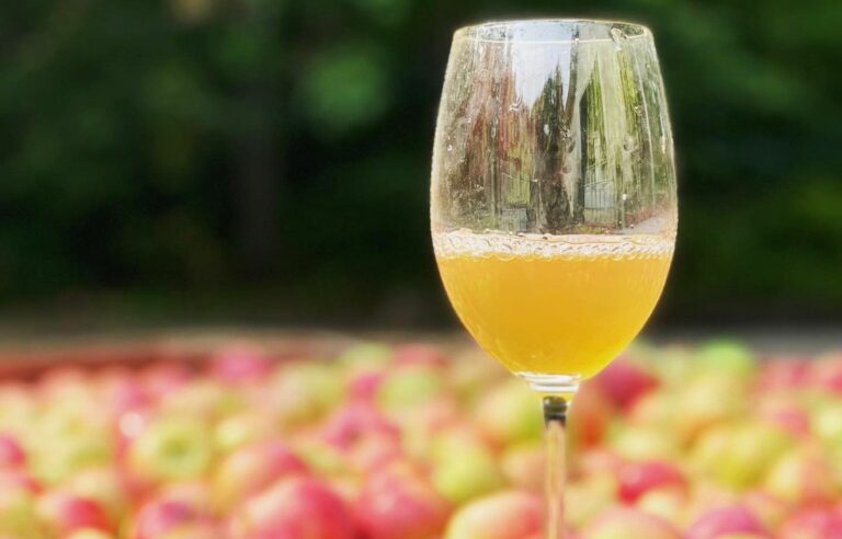 From the vine to the glass: supporting local ciders and piquette