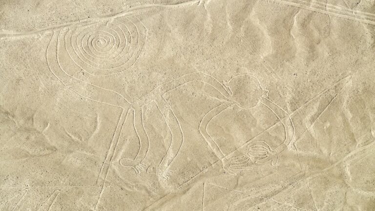 Geoglyphs, paintings… How does artificial intelligence make it possible to discover artistic details unknown to the past?