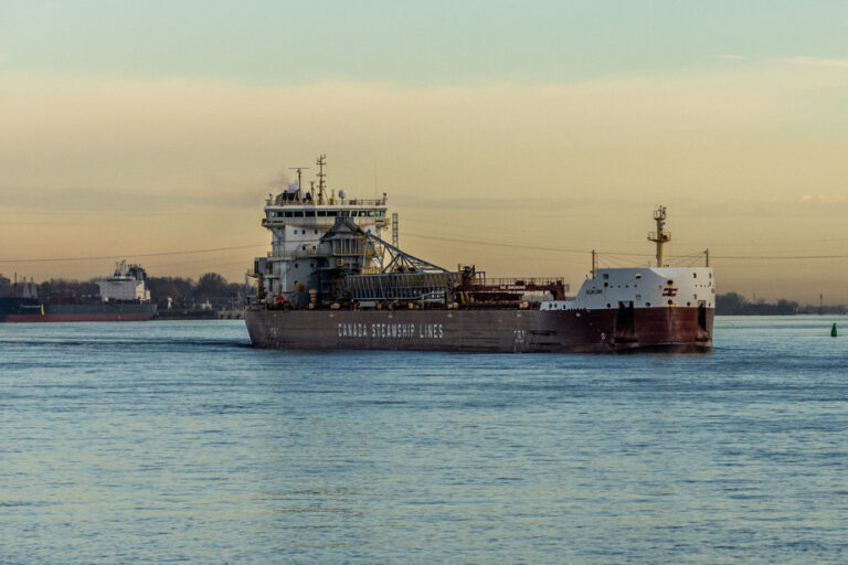 Global portrait of the state of the St. Lawrence 2024 | The waters of the river are warming and the quantity of oxygen is decreasing