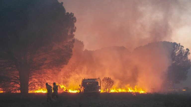 Global warming and air pollution form a ‘vicious circle’, says the World Meteorological Organization