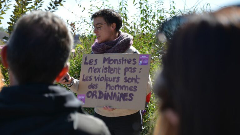 In Auxerre, protesters pay tribute to the “courage” of Gisèle Pelicot