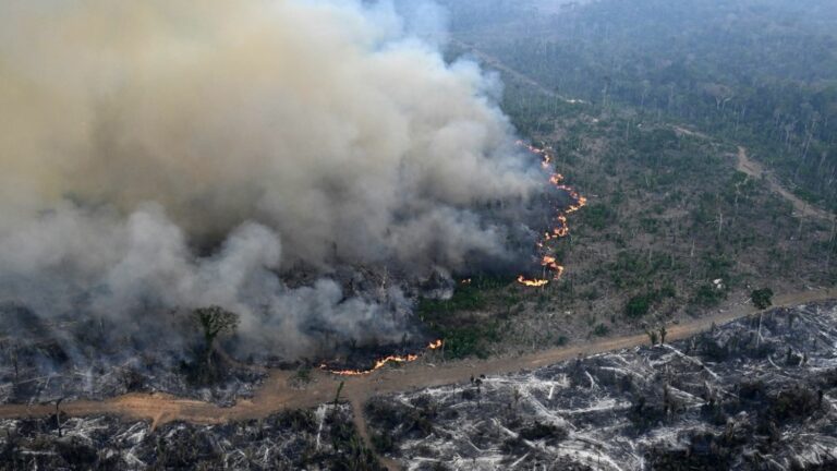 In Brazil, ongoing Amazon fires are breaking carbon emission records