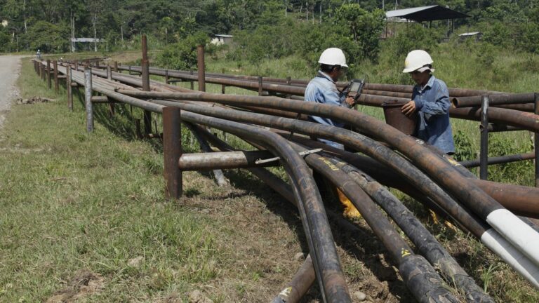 In Ecuador, the Waorani community demands a halt to oil exploitation on their land