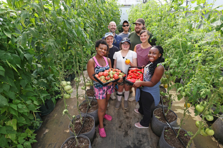 Introduction to horticulture | “The young people grew up with their plants”