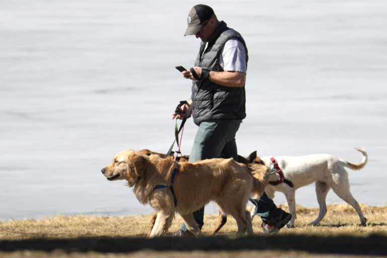 Keeping your dog on a leash brings joy, but also dangers