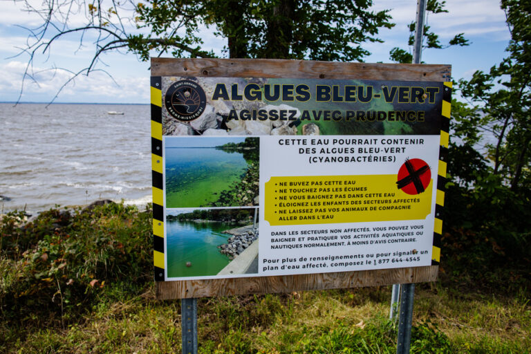 Lake Champlain | When blue algae deprive cities of water