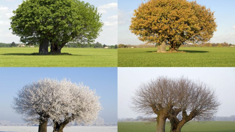 Moral values ​​vary according to the seasons