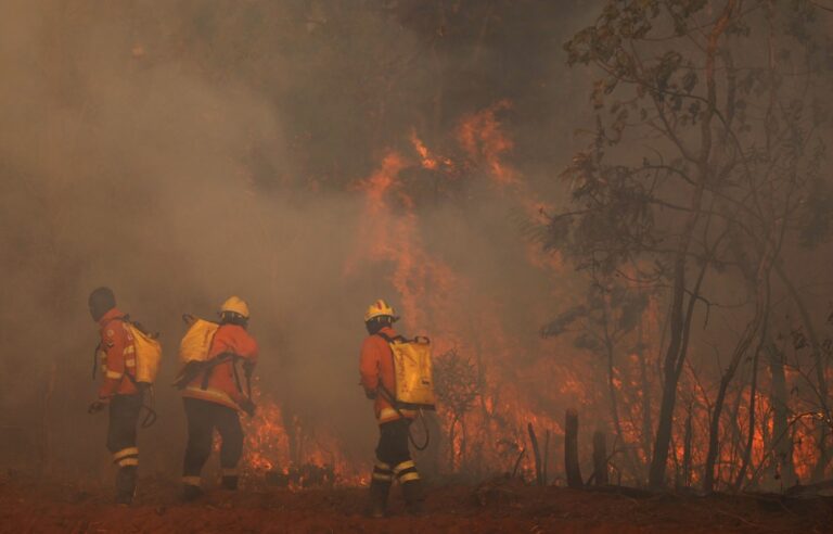 Nature reserve in Brasilia: Brazilian firefighters lead fierce fight against fire on Monday