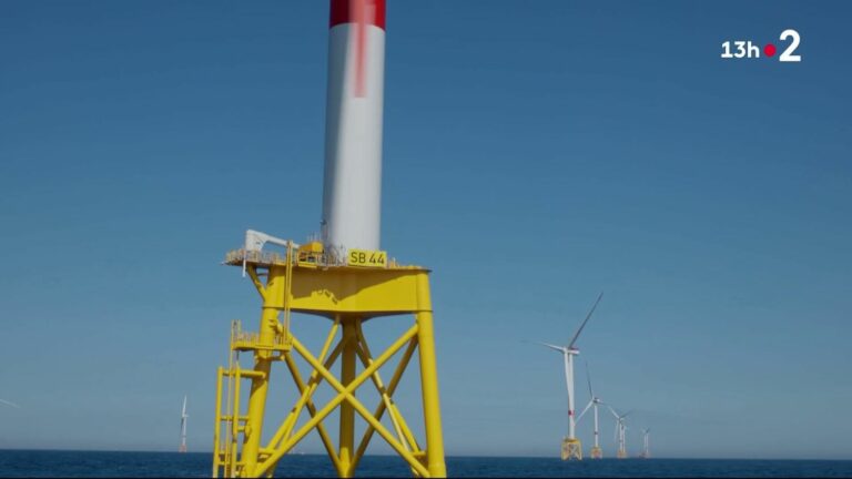 Offshore wind farm inaugurated