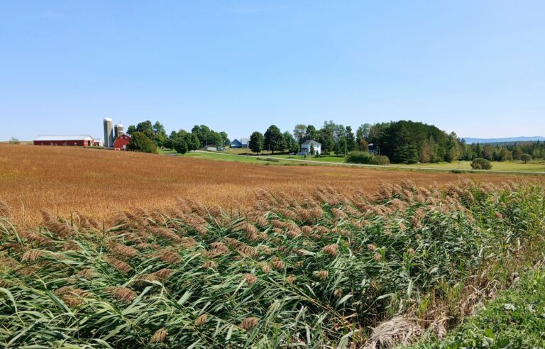 On the Pilgrims’ Way of the Coaticook Valley