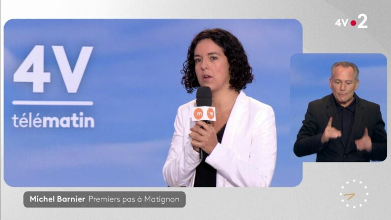 “Our collective resignation would be the best gift we could give to Emmanuel Macron,” says Manon Aubry.