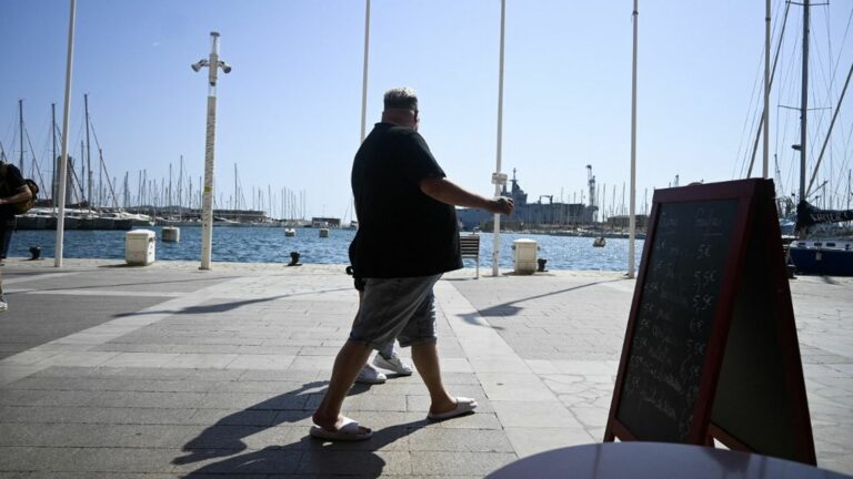 Overweight and obesity have increased in France in 20 years, warns Public Health France