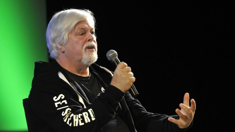 Paul Watson in prison: “I appreciate the support of President Macron and the French government,” says Sea Shepherd founder