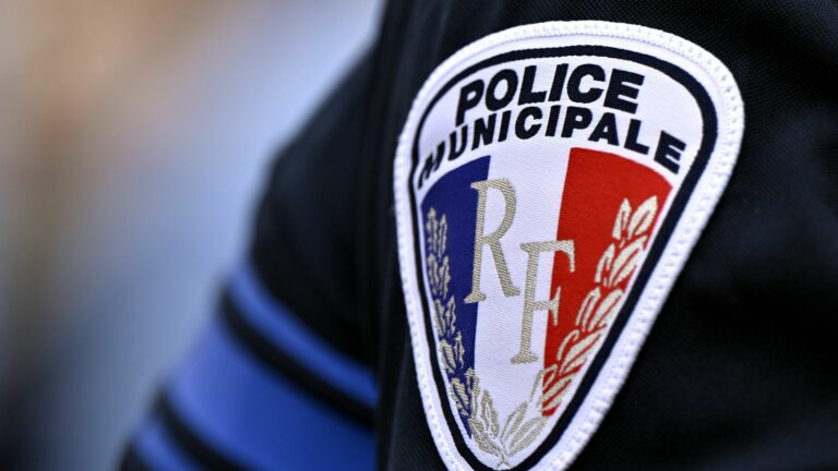 Police officer slightly injured after being hit by a hit-and-run driver while refusing to comply in Yvelines