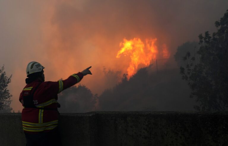 Portugal asks for European help to fight forest fires