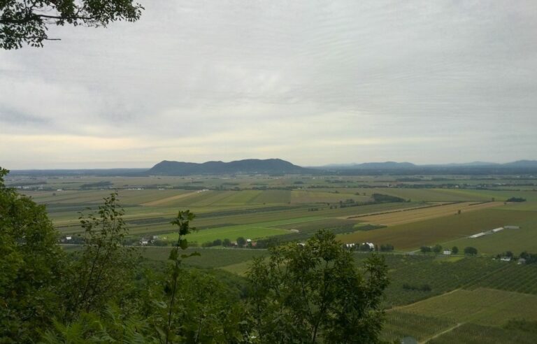 “Pronounced” decline in ecological connectivity in the St. Lawrence Lowlands