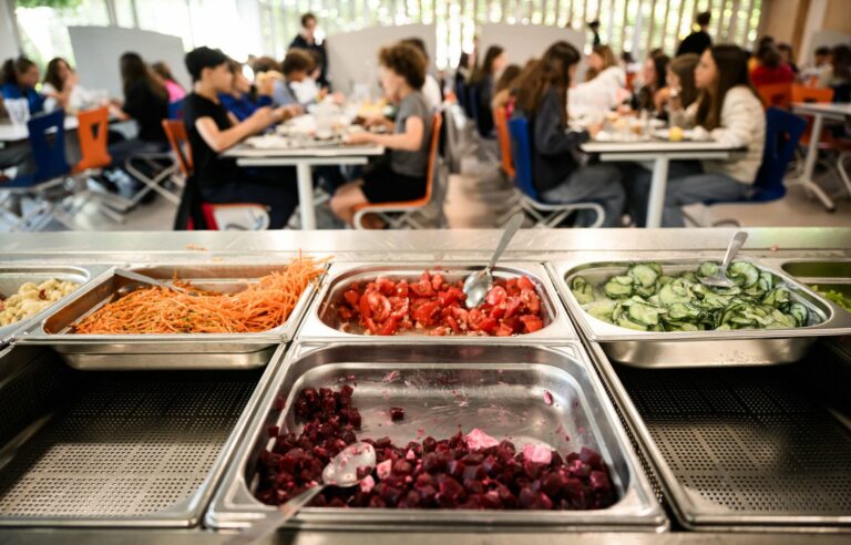 Quebec is slow to implement a school feeding program