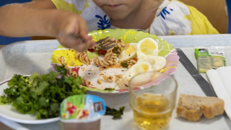 REPORTAGE. “The smaller the structure, the more difficult it is”: the slow transition of school canteens towards organic and local products