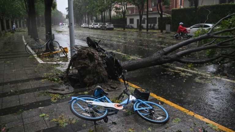 Shanghai closes its two airports due to the passage of Typhoon Bebinca, the strongest in 75 years