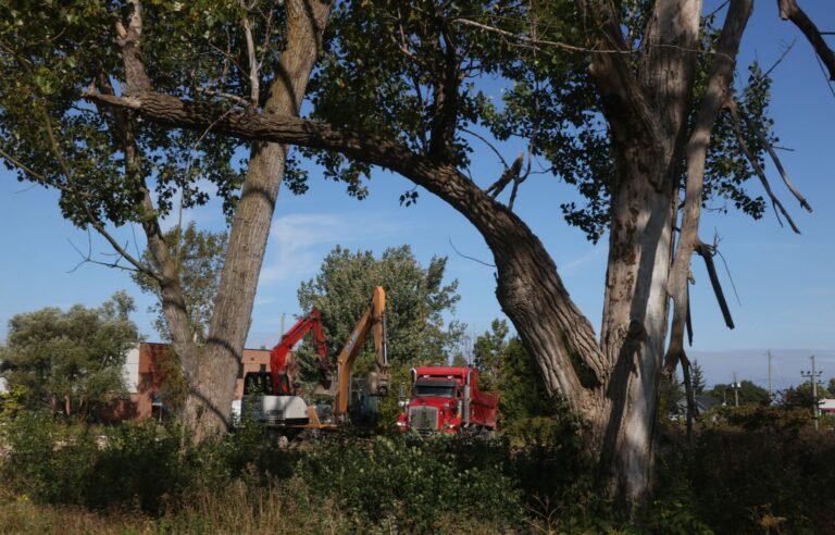 Shields raised to defend one of the last agricultural lands in Châteauguay