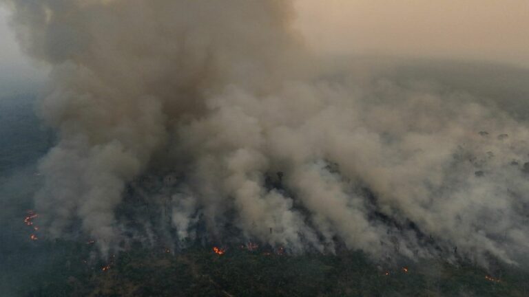 Smoke from Amazon fires pollutes the air of Brazilian megacities