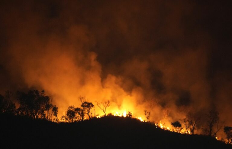 Smoke from Amazon fires spreads across Brazil, causing respiratory problems for residents