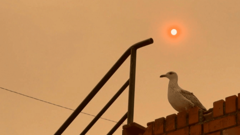 Smoke from fires reaches France