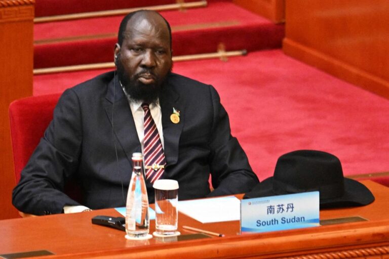 South Sudan | Elections marking end of transition postponed for two years