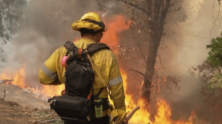 State of emergency declared in Los Angeles, surrounded by flames