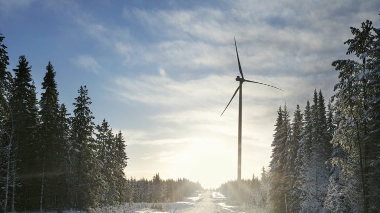 Sweden to financially support municipalities that say ‘yes’ to wind farms