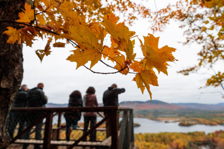 Thanksgiving: From its origins to today’s celebrations