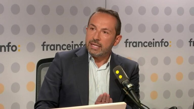 The RN will censor Xavier Bertrand and Bernard Cazeneuve, says its vice-president Sébastien Chenu