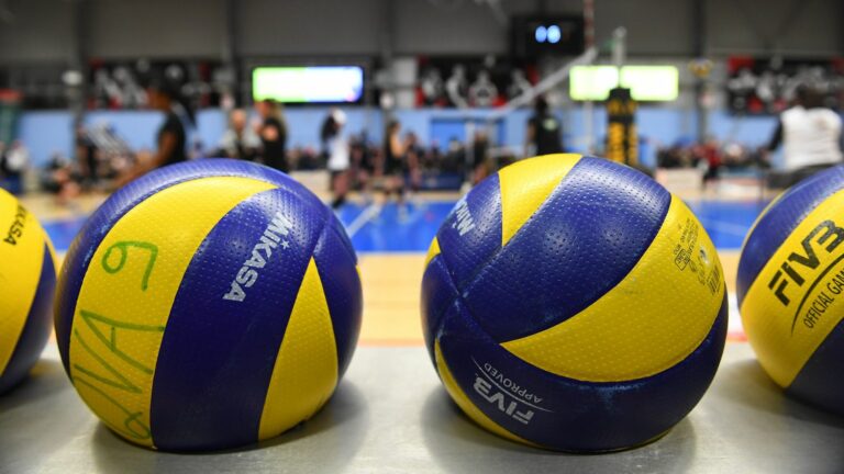 The new coach of the Volley-Ball Pays Viennois club indicted for “rape of a minor” and “acts of torture and barbarity”