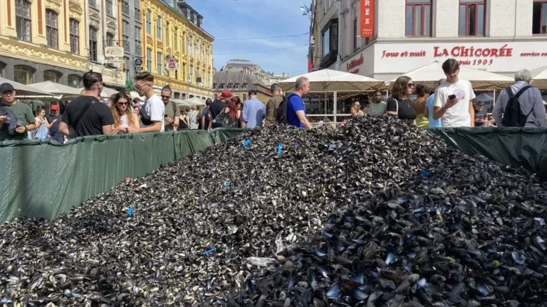 Thousands of mussel shells will be used to make benches