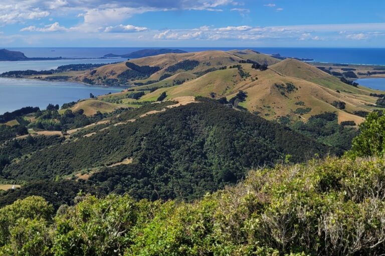 Traveler Confidences | Car-Free New Zealand