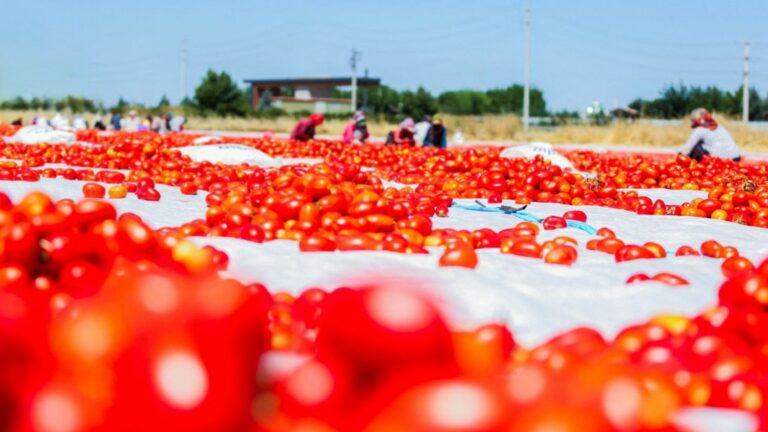 Turkey rocked by farmers’ protests