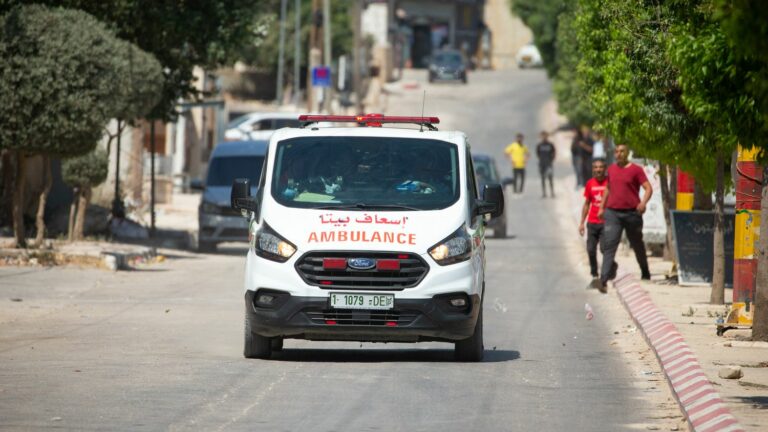 Turkish-American activist dies in occupied West Bank after being shot in the head