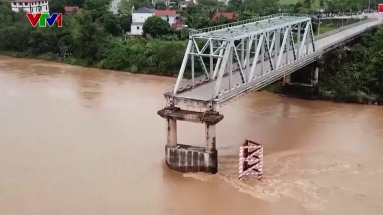 Typhoon causes significant damage