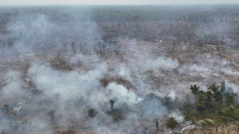 VIDEO. South America is suffocating under the multiple fires that ravage the Amazon